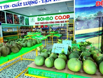 Hội chợ trái cây và hàng nông sản tỉnh Bình Phước lần thứ 7 năm 2024