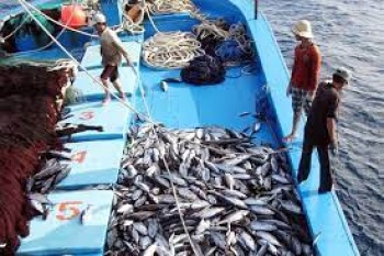 Chính phủ ban hành nghị quyết triển khai công tác chống khai thác thủy sản bất hợp pháp