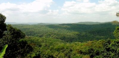 Bu Gia Map National Park