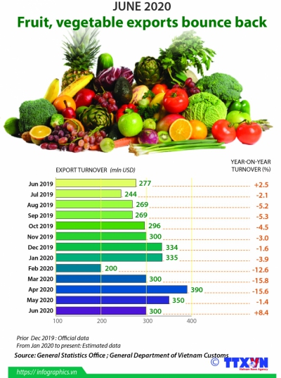 Fruit, vegetable exports bounce back in June 2020