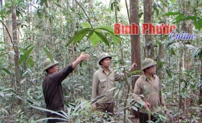 Binh Phuoc tightens forest protection in dry season