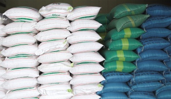 Hỗ trợ 155,28 tấn gạo dự trữ quốc gia cho học sinh Bình Phước trong học kỳ II
