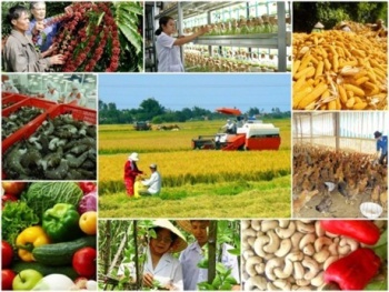 Đề xuất tiêu chuẩn thành viên Hội đồng quản lý đơn vị sự nghiệp công lập Nông nghiệp và Phát triển nông thôn