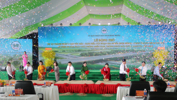 binh dan hoc ai 2 (1)