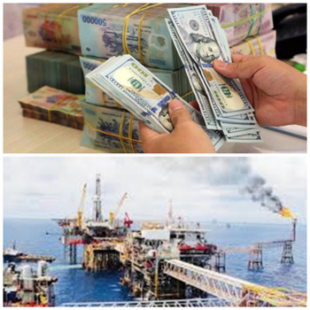 Đồng tiền sử dụng để đầu tư ra nước ngoài trong hoạt động dầu khí gồm ngoại tệ từ nguồn hợp pháp; đồng Việt Nam.