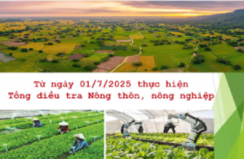 TĐT NN 2025