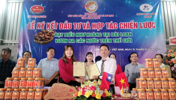 Hạt điều Như Hoàng ký kết hợp tác phát triển tại Đài Loan