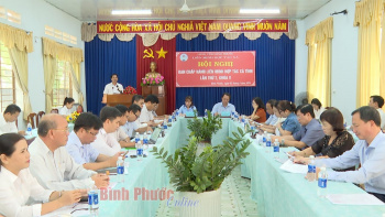 Toàn cảnh hội nghị