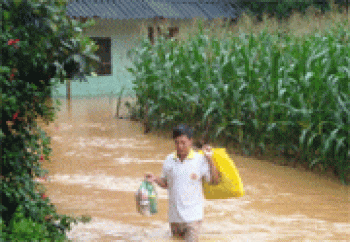 Bù Đốp: 372 căn nhà bị ảnh hưởng do mưa lũ