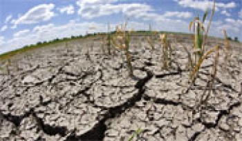 Cảnh báo khô hạn mùa khô 2015 - 2016