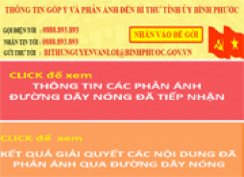 Tiếp nhận 101 tin phản ánh của người dân sau 3 tháng triển khai đường dây nóng