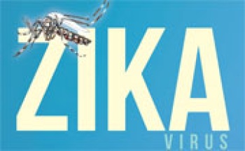 Chủ động phòng chống dịch bệnh do virus Zika gây ra