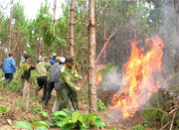 Chủ động phòng cháy chữa cháy trong thời tiết khô hanh