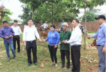 Phú Riềng: Trao 66 con bò giống cho các hộ nghèo, khó khăn