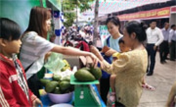 Khai mạc Hội chợ trái cây và hàng nông sản tỉnh lần thứ 3 năm 2017