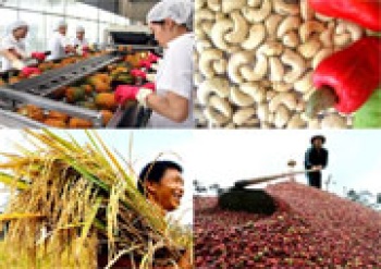 Hoạt động xuất khẩu nông sản trở thành “điểm sáng” của toàn ngành nông nghiệp