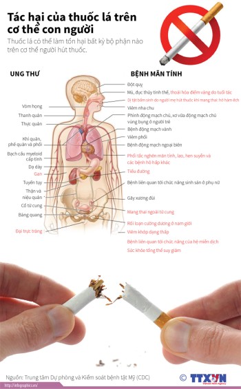 Tác hại của thuốc lá trên cơ thể con người