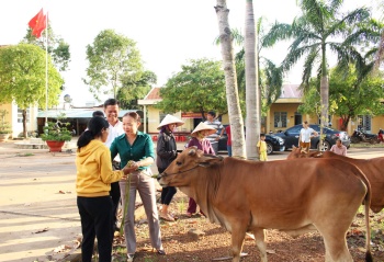 Trao 60 con bò giống cho hộ nghèo, khó khăn trên địa huyện Phú Riềng