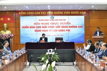 Thực hiện nghiêm túc “5 không” để phòng, chống Dịch tả lợn Châu Phi