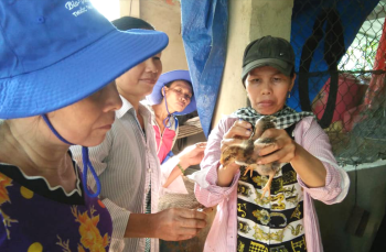 Đồng Phú: Tập huấn kỹ thuật chăn nuôi và phòng trị bệnh cho gà
