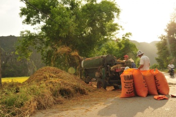 Công nghệ chế biến: Mấu chốt tăng giá trị nông sản Việt