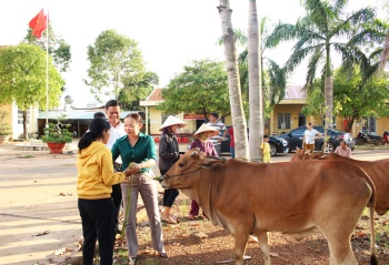 UBND tỉnh phê duyệt 3 mô hình giảm nghèo