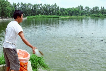 Tình hình nuôi trồng thủy sản trên địa bàn tỉnh