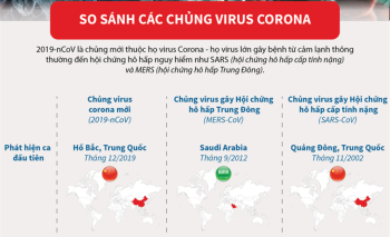 So sánh các chủng virus corona
