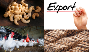 Đẩy mạnh công nghiệp chế biến sản phẩm chăn nuôi, hạt điều, gỗ tiến tới xuất khẩu