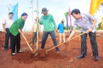 Chủ tịch UBND tỉnh kiểm tra công tác tổ chức lễ phát động trồng cây “Đời đời nhớ ơn Bác Hồ”