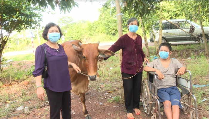Tặng bò giống cho gia đình nạn nhân nhiễm chất độc da cam phát triển kinh tế