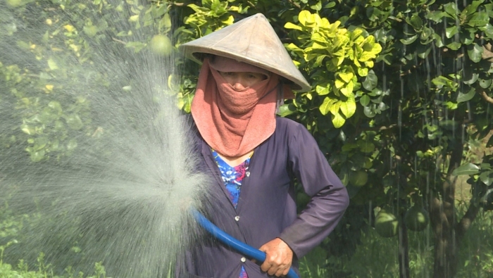 Lộc Ninh đẩy mạnh hỗ trợ vốn cho nông dân phát triển sản xuất