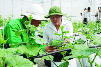 Đến năm 2050, Việt Nam trở thành một trong những nước có nền nông nghiệp hàng đầu thế giới