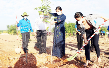 Chủ tịch UBND tỉnh Trần Tuệ Hiền dự phát động trồng cây xanh năm 2022
