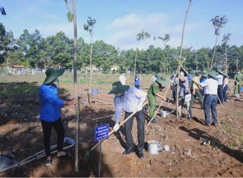 Giai đoạn 2022-2025, Đồng Phú phấn đấu trồng 310.000 cây xanh