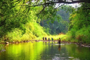 Phê duyệt Đề án dịch vụ môi trường rừng tỉnh Bình Phước
