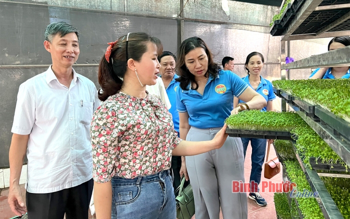 Hội Nông dân thành phố Hà Nội và Bình Phước ký kết hợp tác