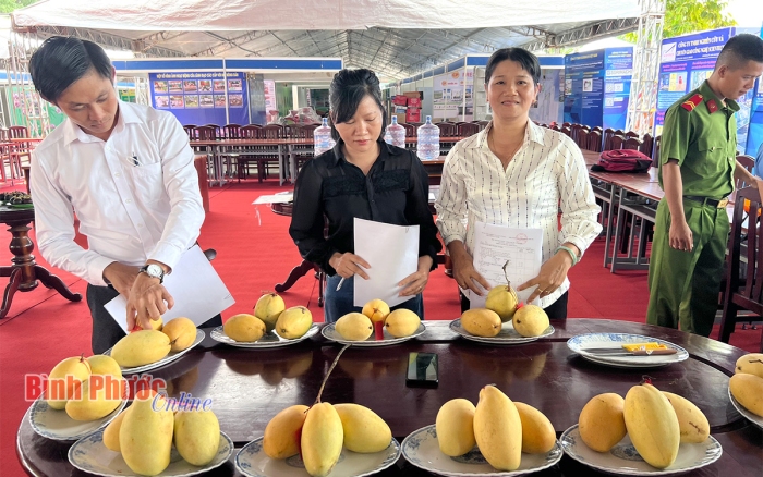 95 nông hộ tham gia hội thi trái cây ngon Bình Phước lần thứ nhất năm 2022
