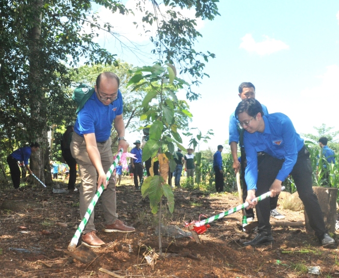 Cao su Đồng Phú triển khai trồng 10.000 cây xanh