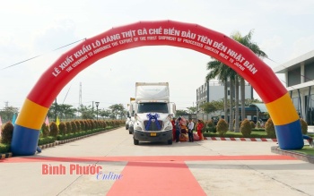 CPV Food Binh Phuoc exports first batch of processed chicken to japan
