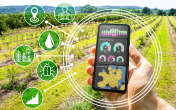 Đẩy mạnh ứng dụng công nghệ thông tin trong thu thập thông tin, dự báo tình hình thị trường nông sản