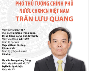 Phó Thủ tướng Chính phủ nước CHXHCN Việt Nam Trần Lưu Quang