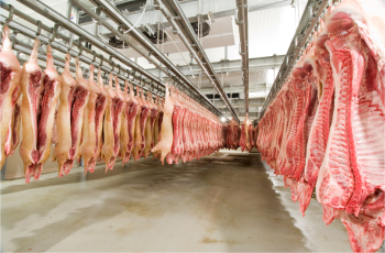 Tăng cường công tác quản lý, kiểm soát giết mổ động vật