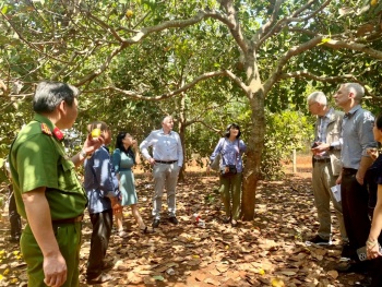 Liên đoàn Hợp tác xã Raifeisen khảo sát lĩnh vực hợp tác xã tại Phú Riềng