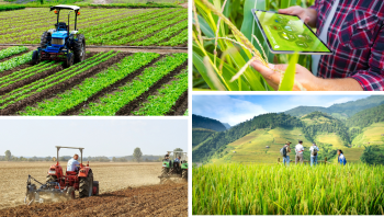 Tăng cường kết nối hệ thống khuyến nông theo phương châm “ở đâu có nông dân, ở đó có khuyến nông”