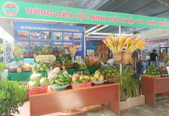Hội chợ trái cây và hàng nông sản tỉnh Bình Phước lần thứ 6 năm 2023