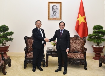 Phó Thủ tướng Trần Lưu Quang tiếp Đại sứ Nhật Bản