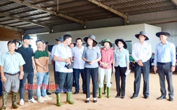 Phó Bí thư Thường trực Tỉnh ủy Huỳnh Thị Hằng thăm mô hình kinh tế nông nghiệp công nghệ cao