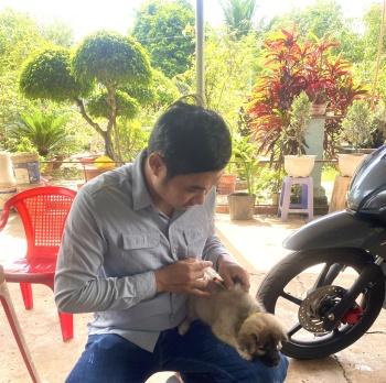 Công bố bố dịch bệnh dại động vật (chó) trên địa bàn phường An Lộc
