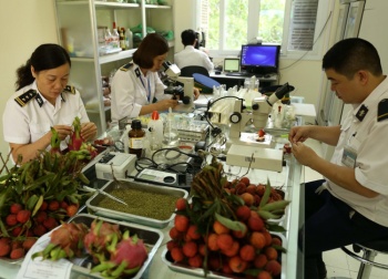 Danh mục đối tượng kiểm dịch thực vật